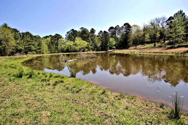$400,000 | 998 County Road 311, Tyler, TX 75706