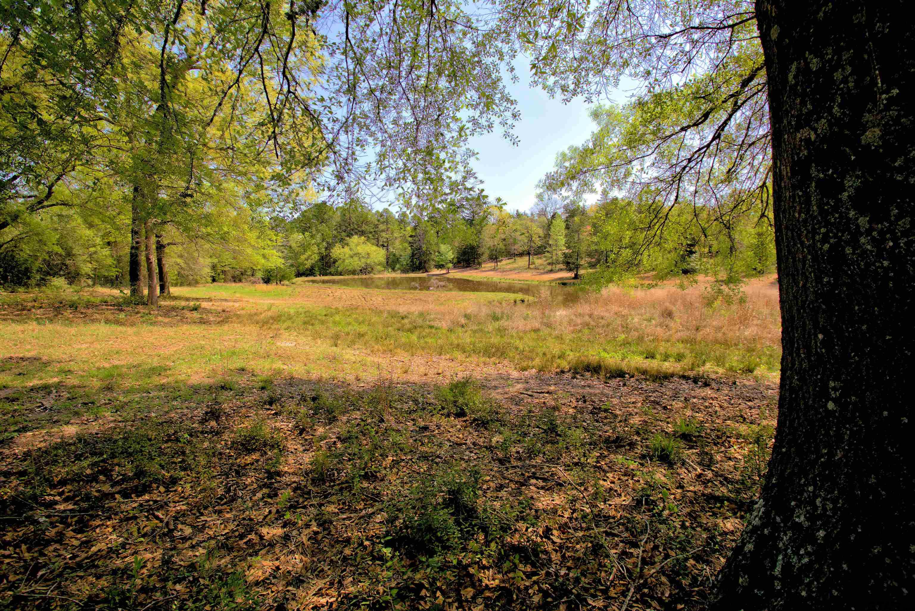 998 County Road 311 Tyler, TX 75706 - Photo 31 of 41