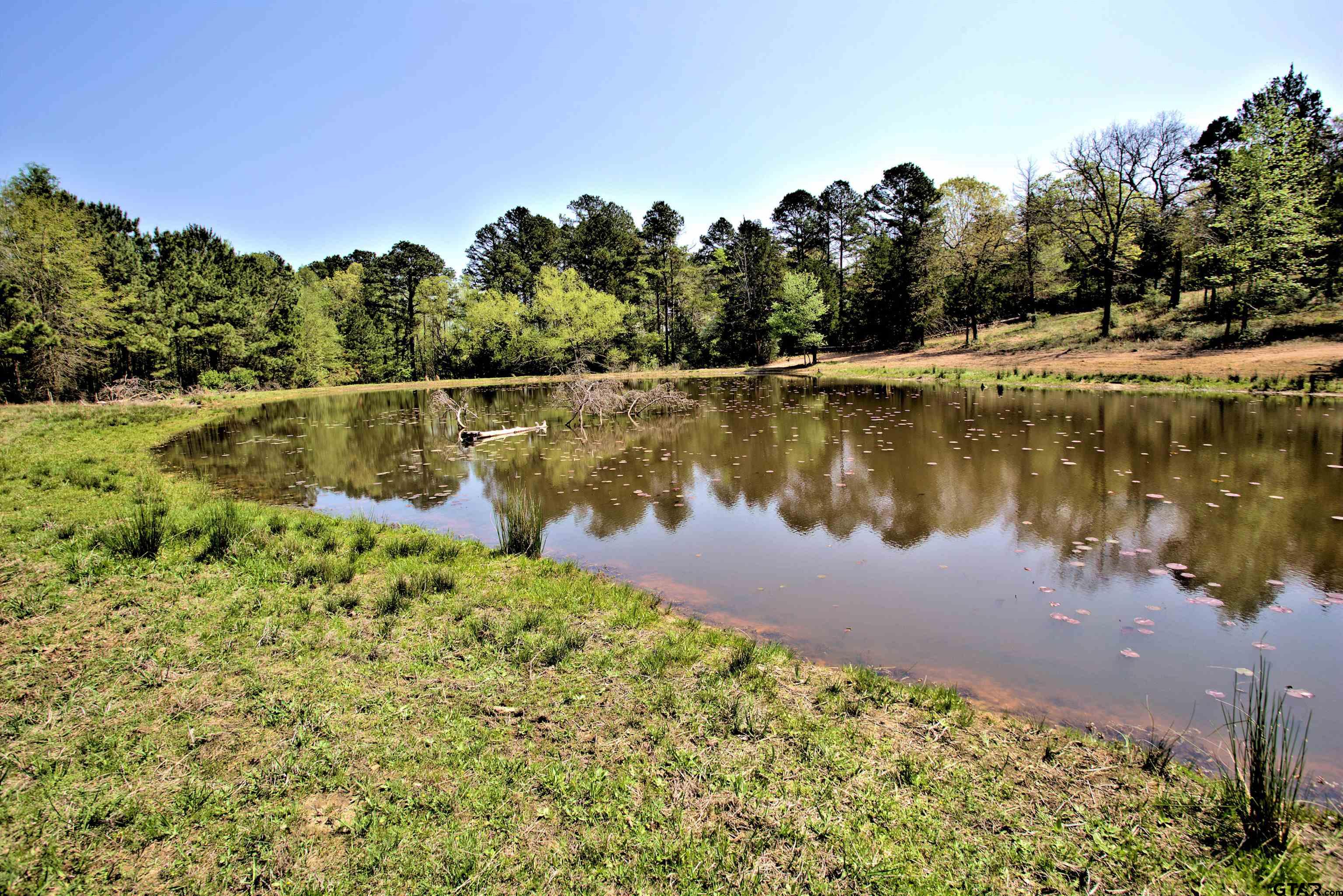 998 County Road 311 Tyler, TX 75706 - Photo 32 of 41