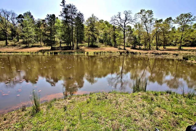 $400,000 | 998 County Road 311, Tyler, TX 75706