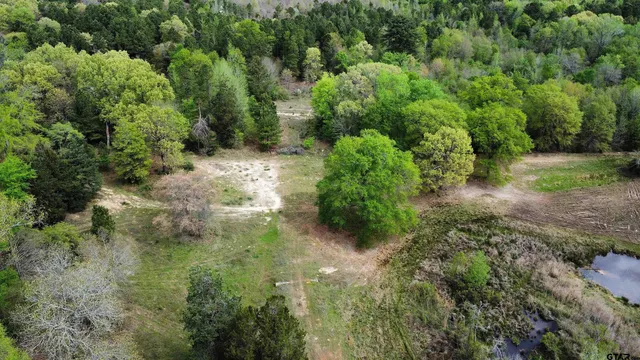 $400,000 | 998 County Road 311, Tyler, TX 75706