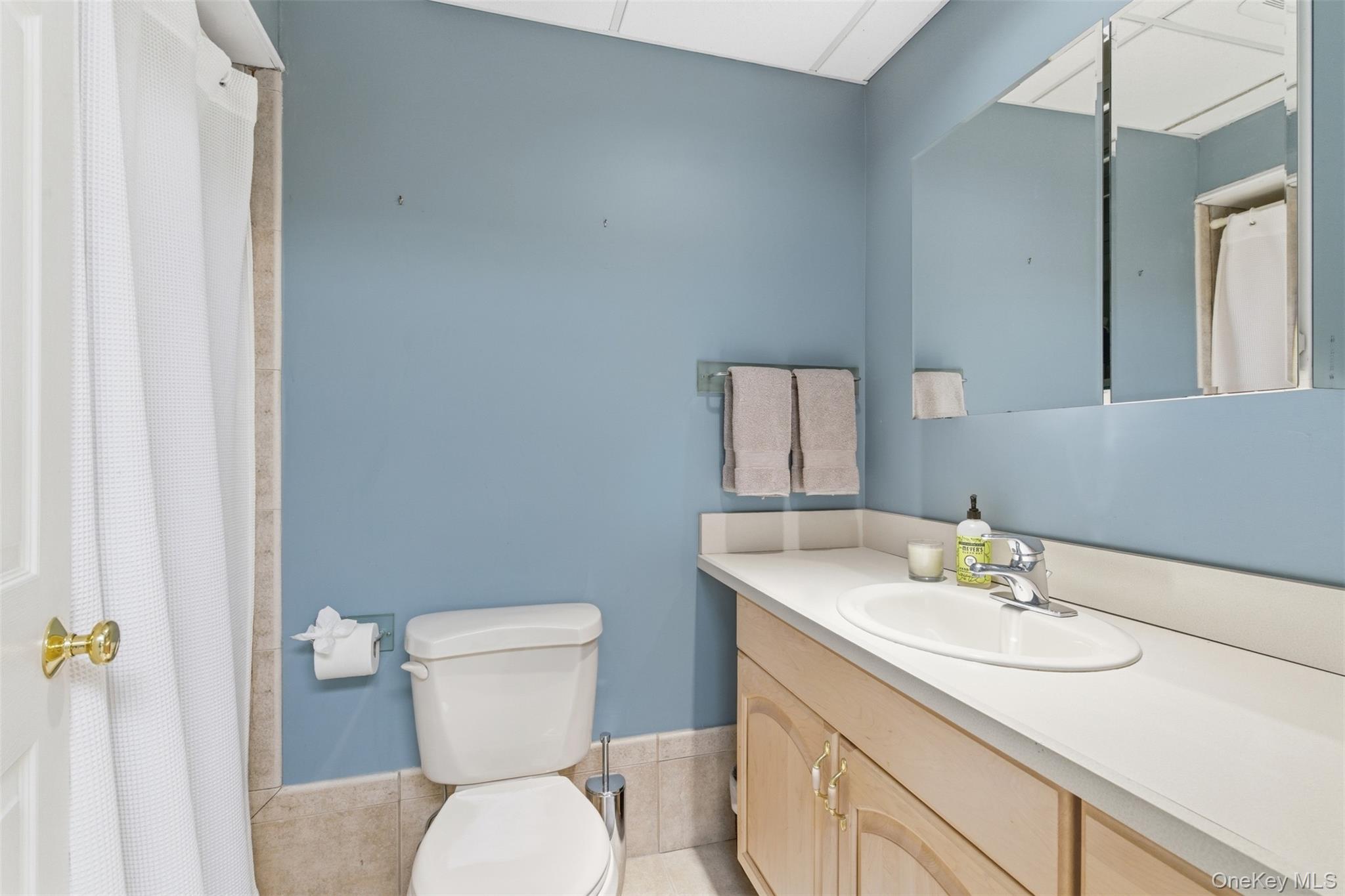 5 Toboggan Hill Path Cold Spring Harbor, NY 11724 - Photo 28 of 35 Basement Bathroom