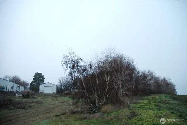a backyard of a house with lots of green space
