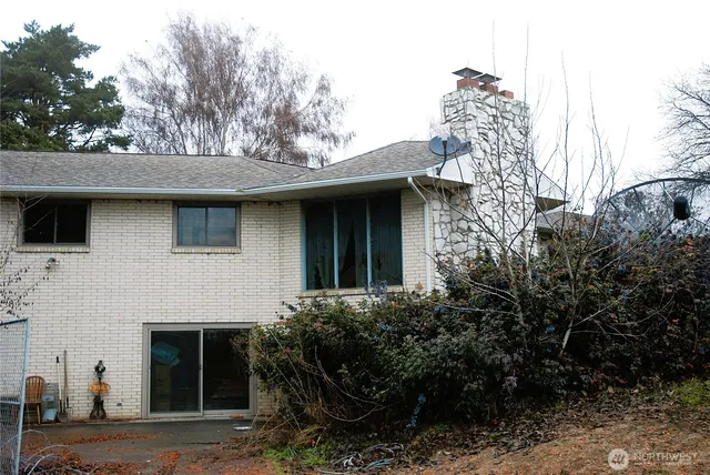 a view of a yard with trees