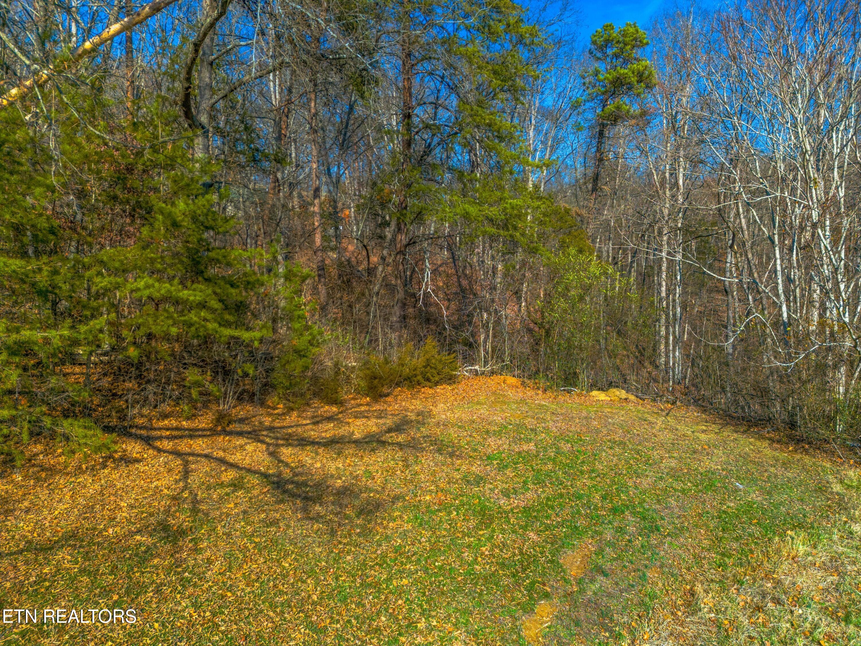 Lot 32 East Cross Road Dandridge, TN 37725 - Photo 6 of 8 010-EastCrossRoadLots31R2and32-Dandridge