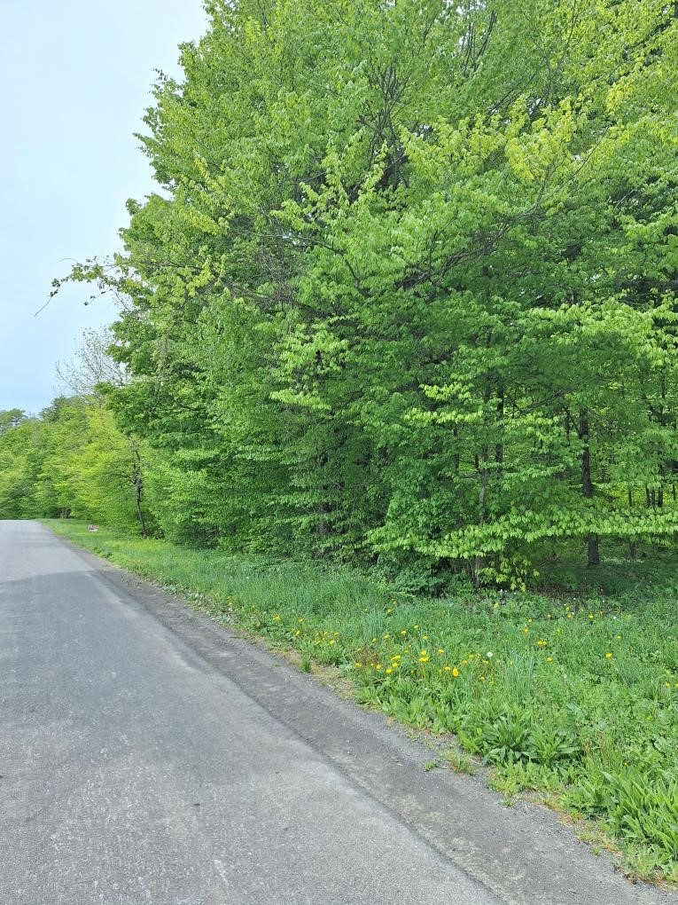 0 Mt Tom Road Springfield Center, NY 13468 - Photo 3 of 14