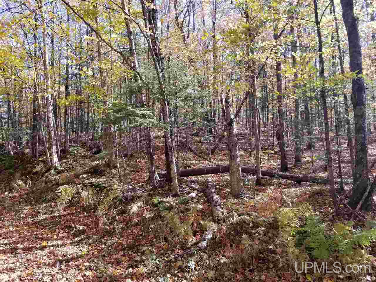 Tbd Tbd Rydeski Road Wakefield, MI 49968 - Photo 4 of 4