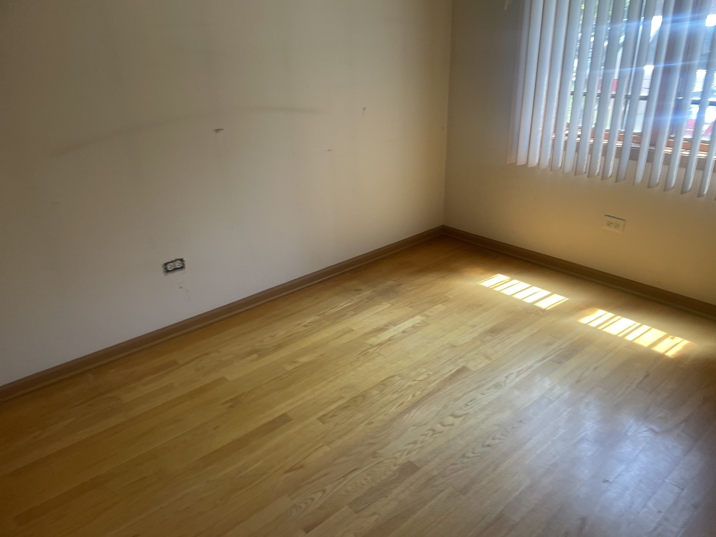 1928 South Wells Street, Unit 1 Chicago, IL 60616 - Photo 5 of 9 a view of an empty room with a window