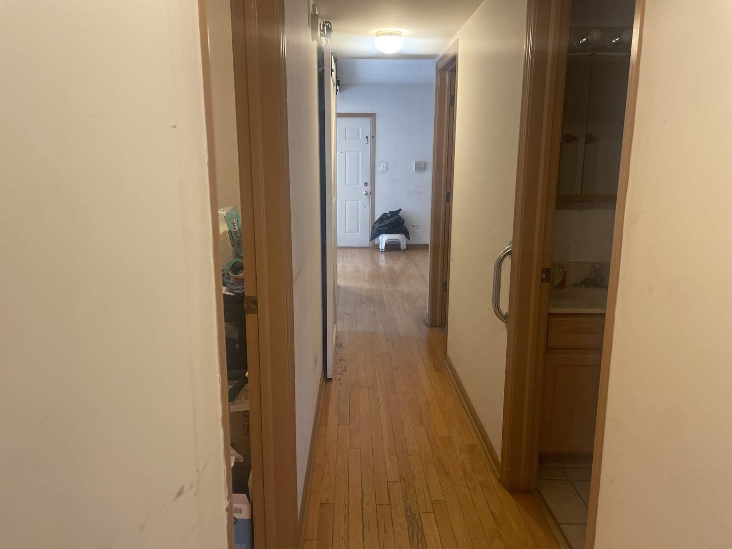 1928 South Wells Street, Unit 1 Chicago, IL 60616 - Photo 6 of 9 a view of a bathroom from a hallway