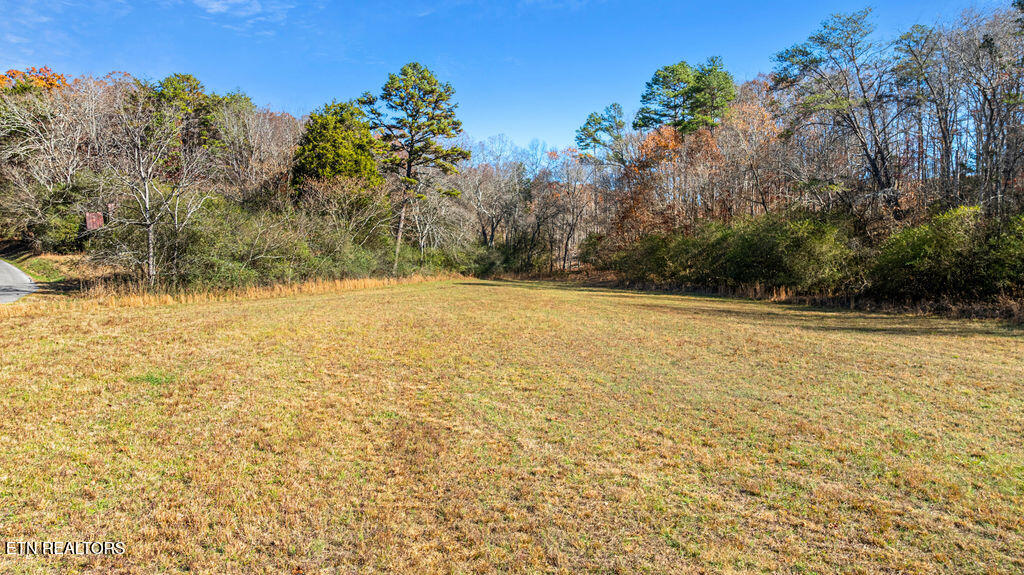 195 Ritchey Road Loudon, TN 37774 - Photo 11 of 50 DJI_0914-HDR