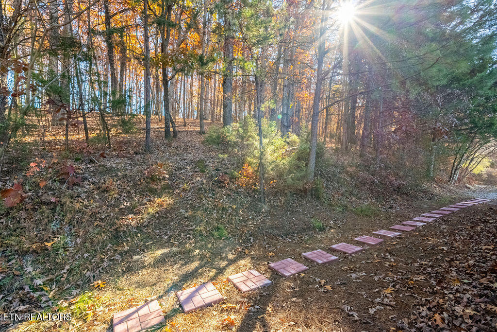 195 Ritchey Road Loudon, TN 37774 - Photo 48 of 50 DSC08039-HDR