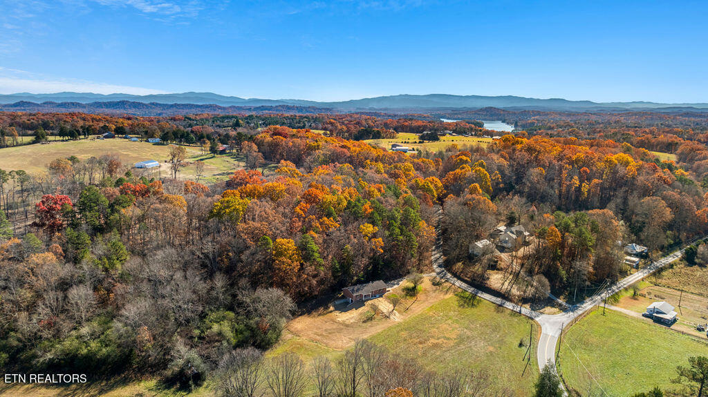 195 Ritchey Road Loudon, TN 37774 - Photo 8 of 50 DJI_0834-HDR