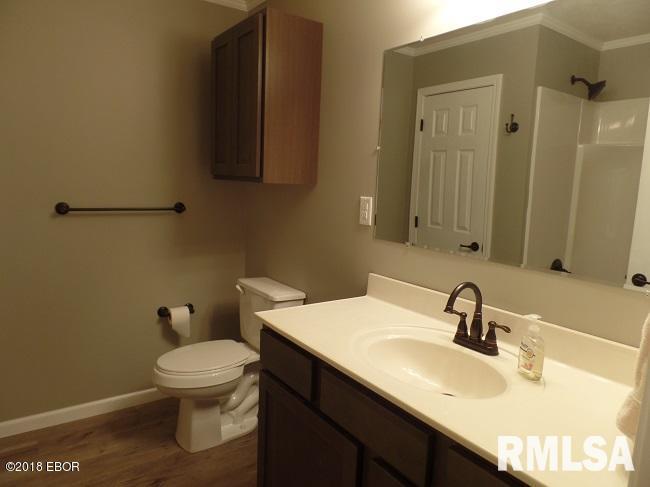 12072 Pebble Point Road Marion, IL 62959 - Photo 9 of 19