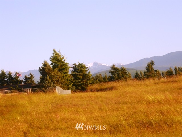 0 Bon Jon View Way Sequim, WA 98382 - Photo 3 of 5