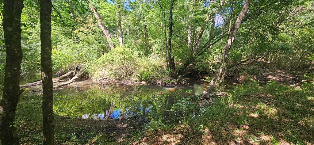 0 Case Road Slocomb, AL 36375 - Photo 6 of 18