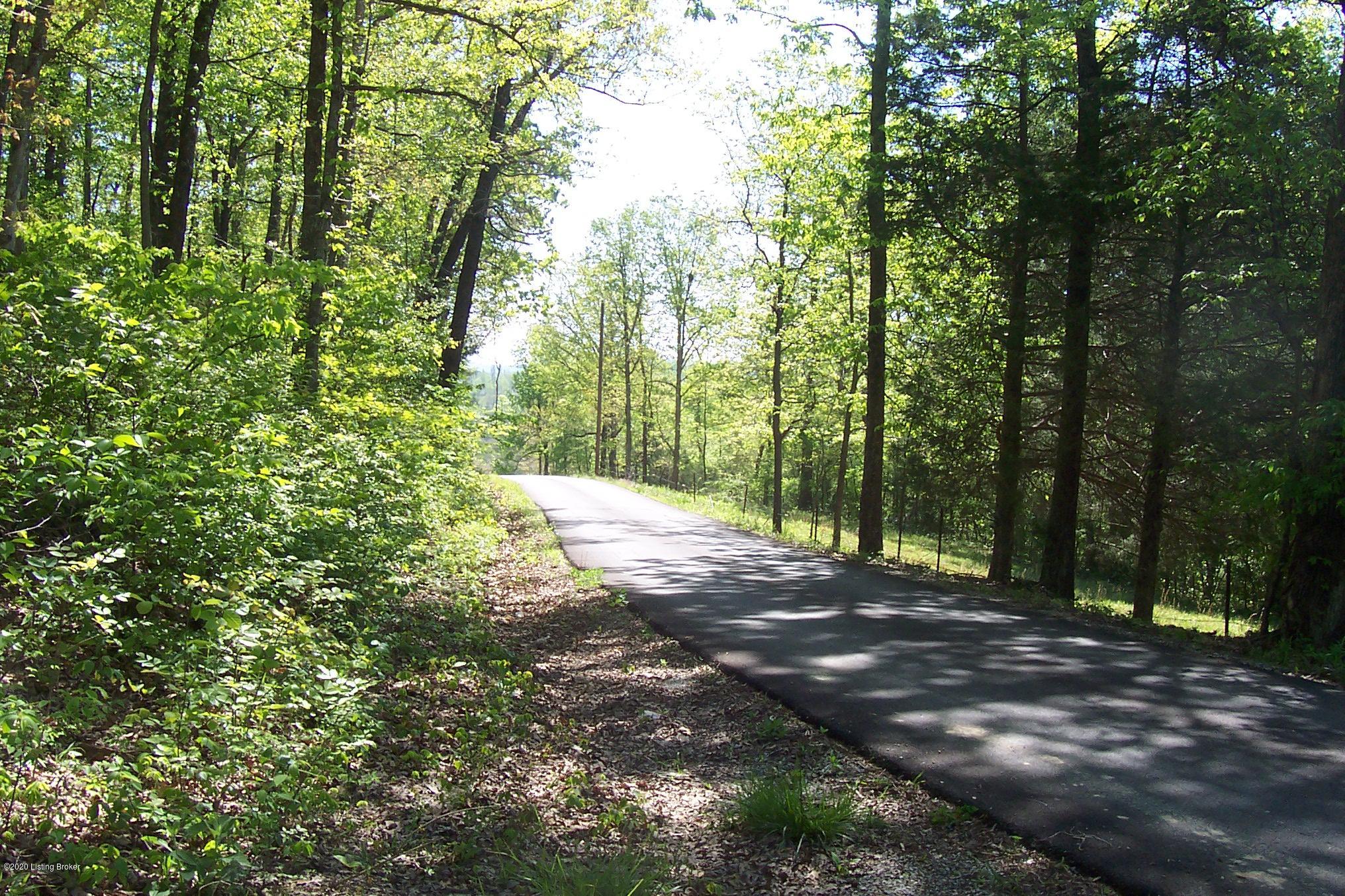 0 Skaggs Road Clarkson, KY 42726 - Photo 3 of 26 000_0070