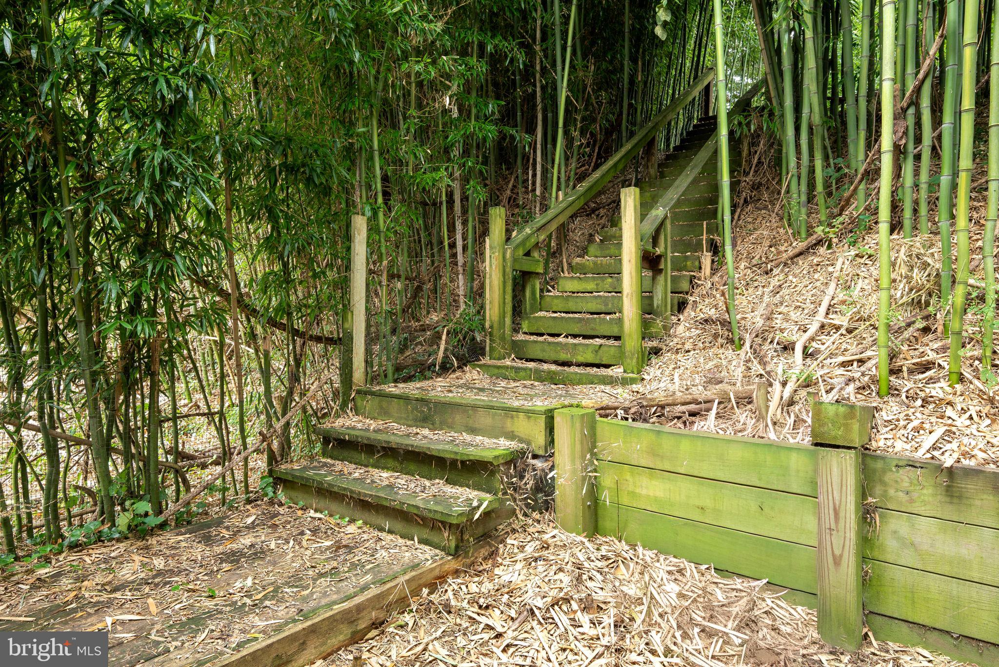 70 Boat House Road Wrightsville, PA 17368 - Photo 35 of 39