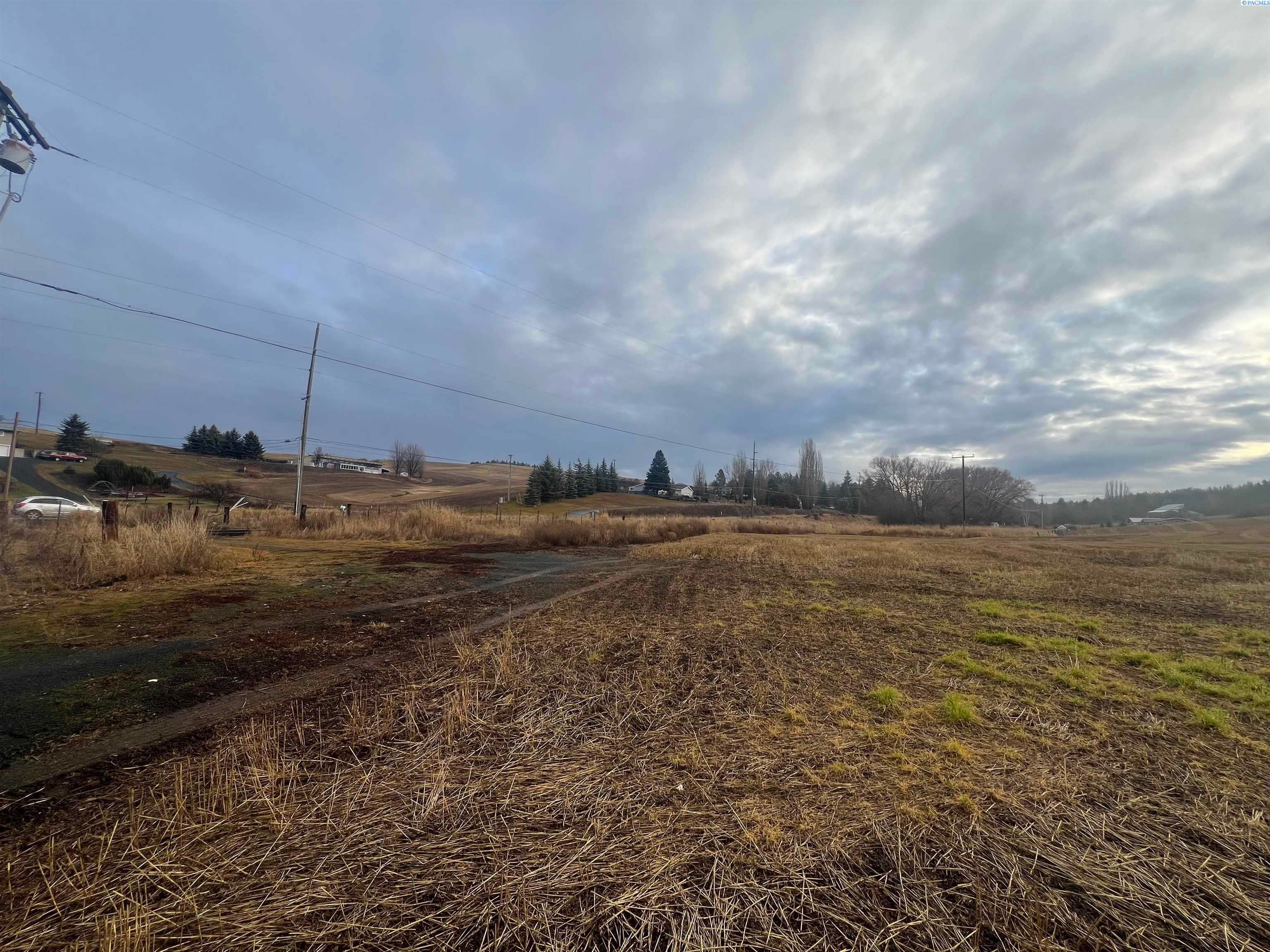 303 Old Moscow Road Pullman, WA 99163 - Photo 6 of 10 Gallery Image 6