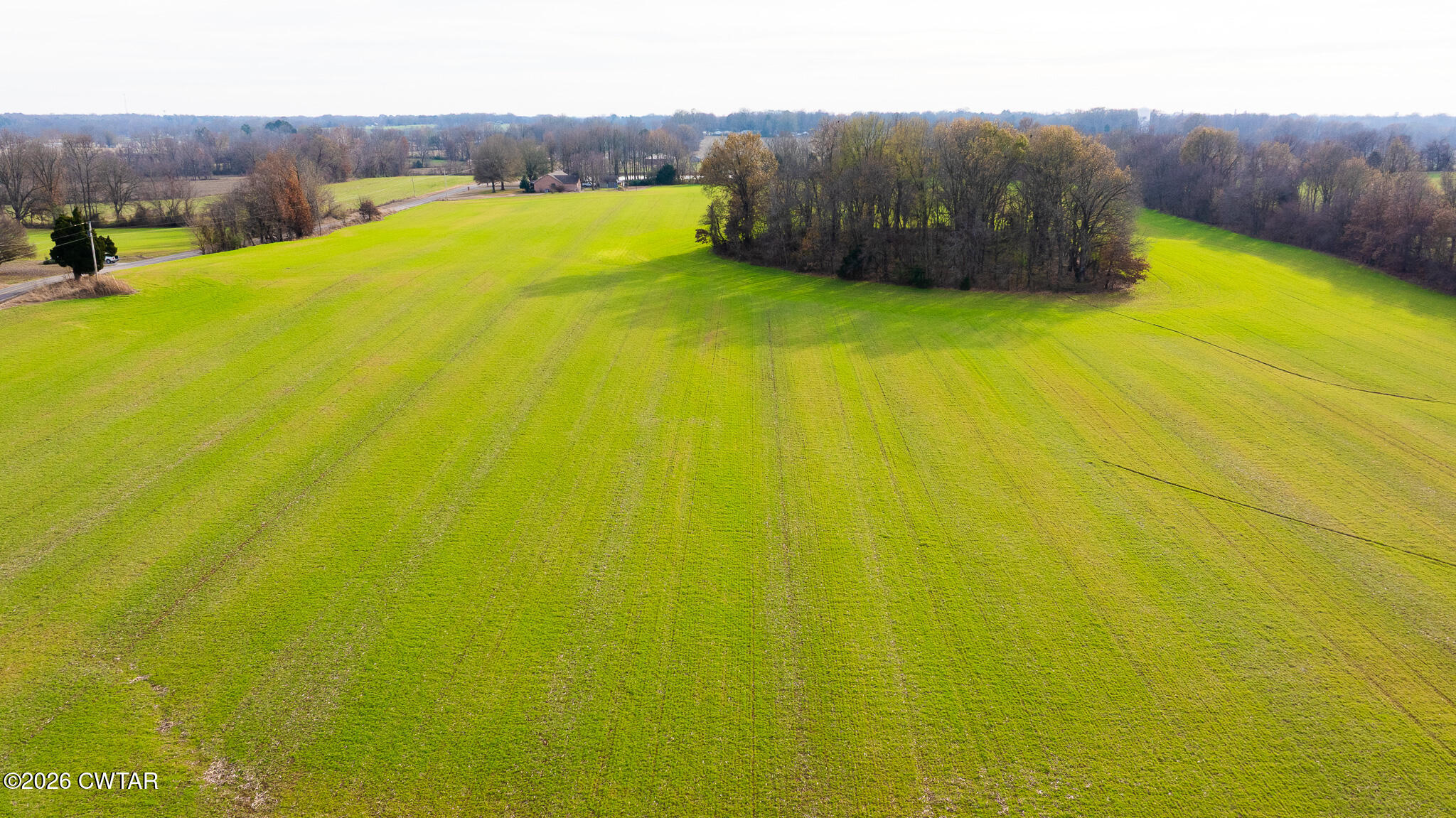 0 New Hope Road Dyer, TN 38330 - Photo 3 of 10 DJI_20251211143655_0005_D