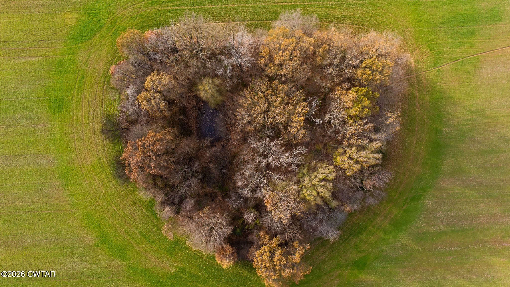 0 New Hope Road Dyer, TN 38330 - Photo 5 of 10 DJI_20251211143747_0008_D