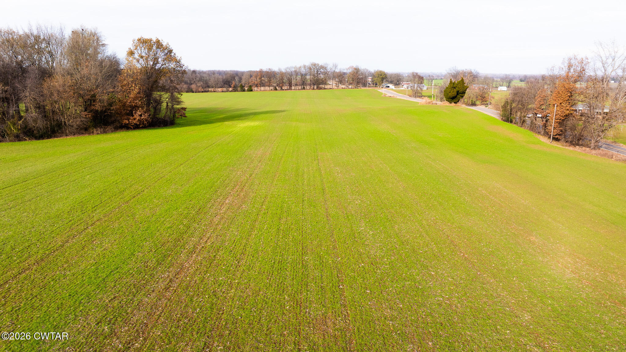 0 New Hope Road Dyer, TN 38330 - Photo 6 of 10 DJI_20251211143825_0010_D
