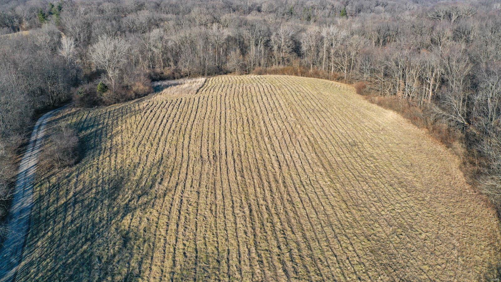 17669 Liberty Ridge Road Grafton, IL 62037 - Photo 14 of 47