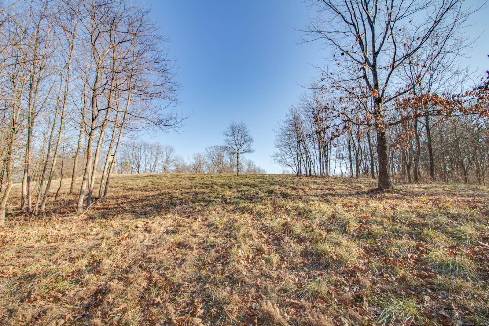 17669 Liberty Ridge Road Grafton, IL 62037 - Photo 40 of 47