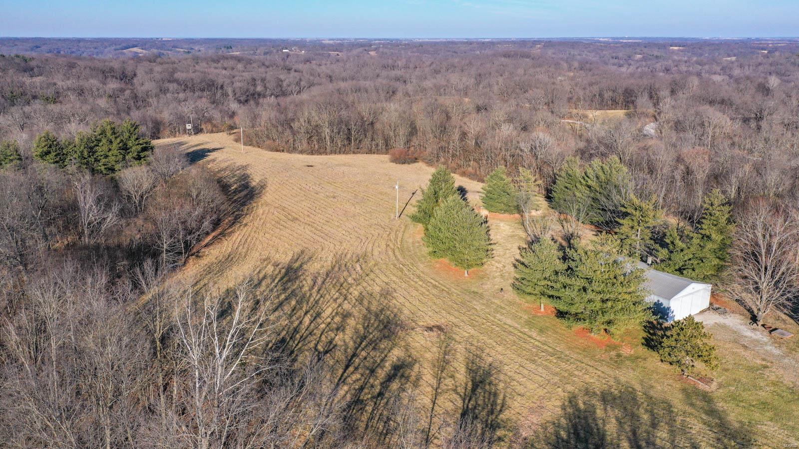 17669 Liberty Ridge Road Grafton, IL 62037 - Photo 7 of 47