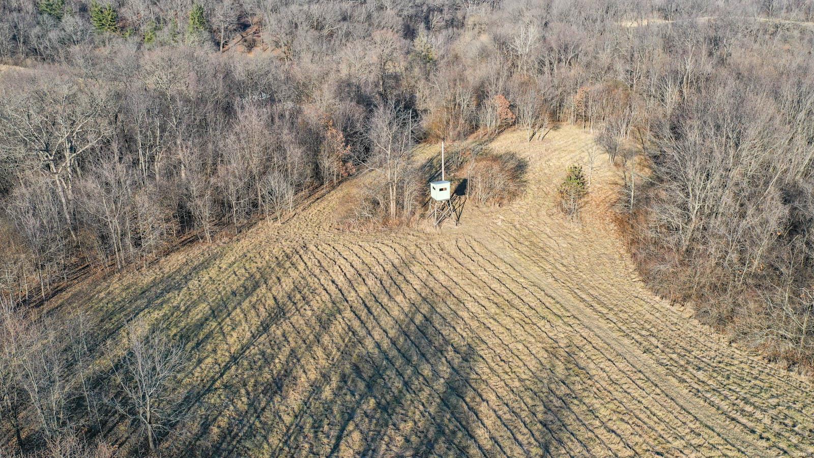 17669 Liberty Ridge Road Grafton, IL 62037 - Photo 8 of 47