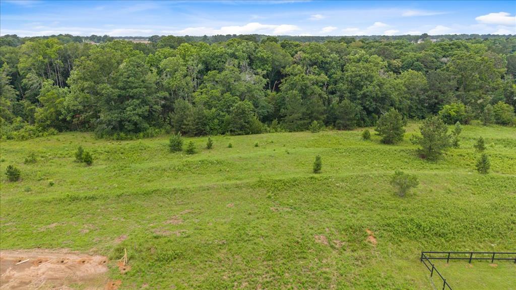 5136 Judge Logue Road Newton, AL 36352 - Photo 32 of 38