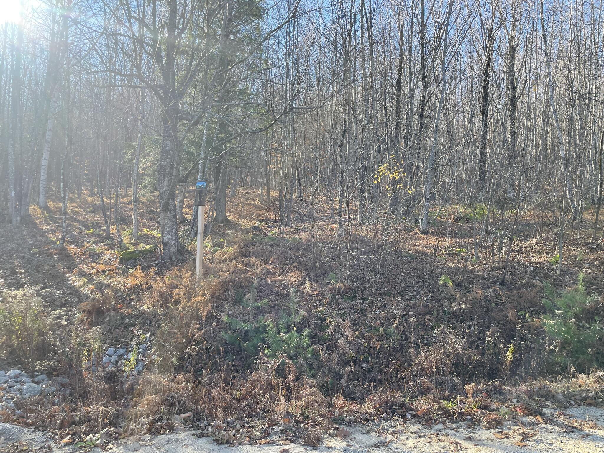 17 Outlook Road Bryant Pond, ME 04219 - Photo 18 of 18 06BFE098-76F4-4951-996F-E558D8837A46