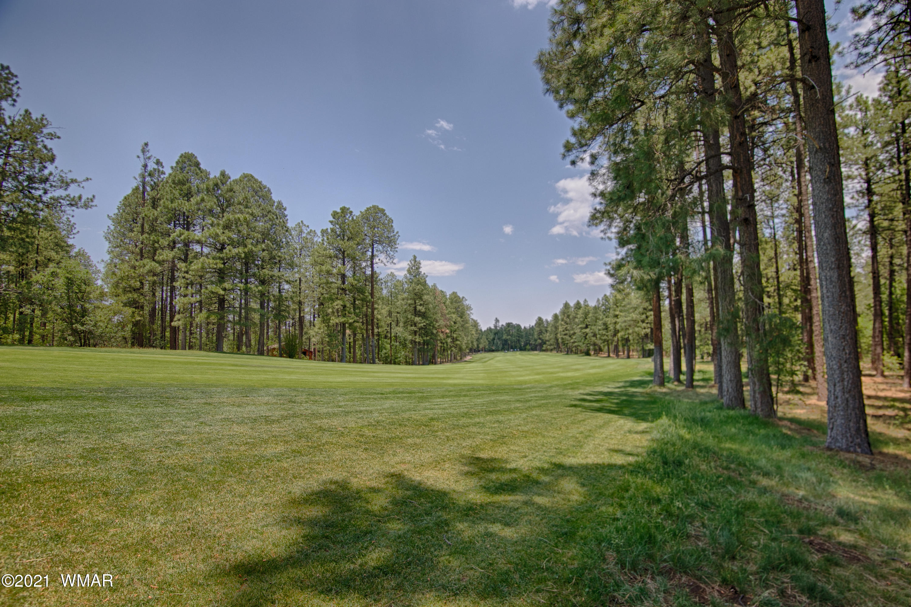 3087 Aspen Loop Pinetop, AZ 85935 - Photo 38 of 38 Gallery Image 38
