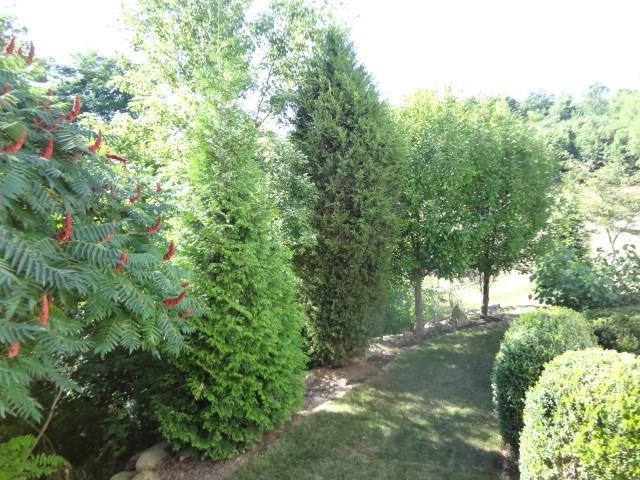 115 Chestnut Ridge Drive Beaver Falls, PA 15010 - Photo 24 of 25 Gallery Image 24