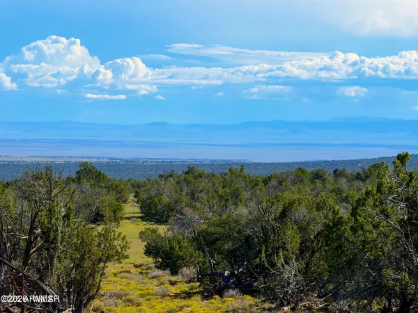 $25,000 | N7480 40 Acres St-johns Az 85936, St. Johns, AZ 85936