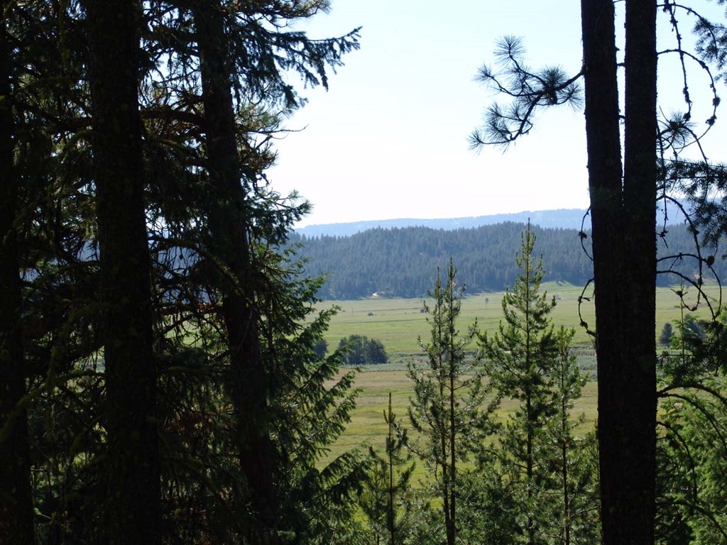 L1-b2 L1-b2 San Ignacio Way, Unit 1 Cascade, ID 83611 - Photo 2 of 13 View from Building Site