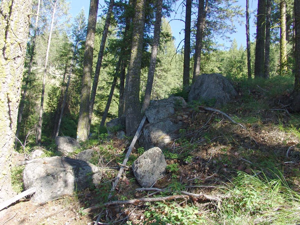 L1-b2 L1-b2 San Ignacio Way, Unit 1 Cascade, ID 83611 - Photo 3 of 13 Multiple Mountain Views