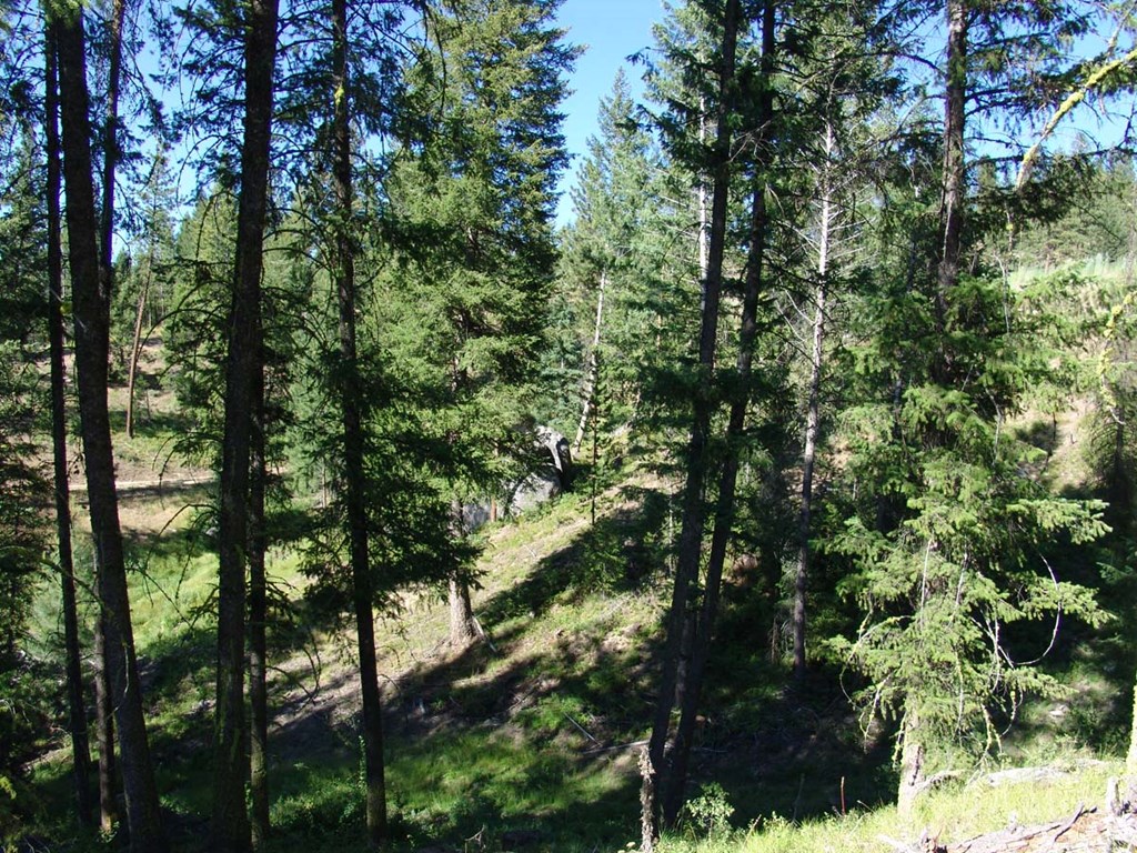 L1-b2 L1-b2 San Ignacio Way, Unit 1 Cascade, ID 83611 - Photo 4 of 13 Excavation Work Roughed In