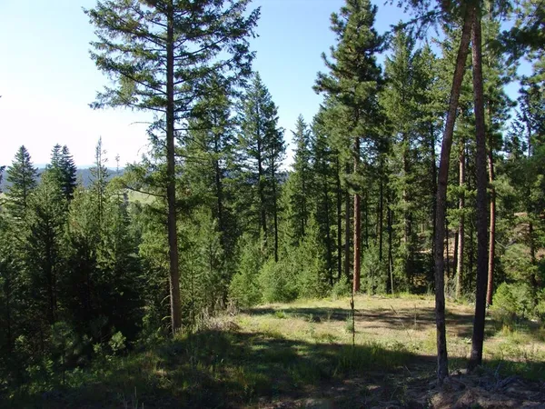 $109,000 | L1-b2 L1-b2 San Ignacio Way, Unit 1, Cascade, ID 83611