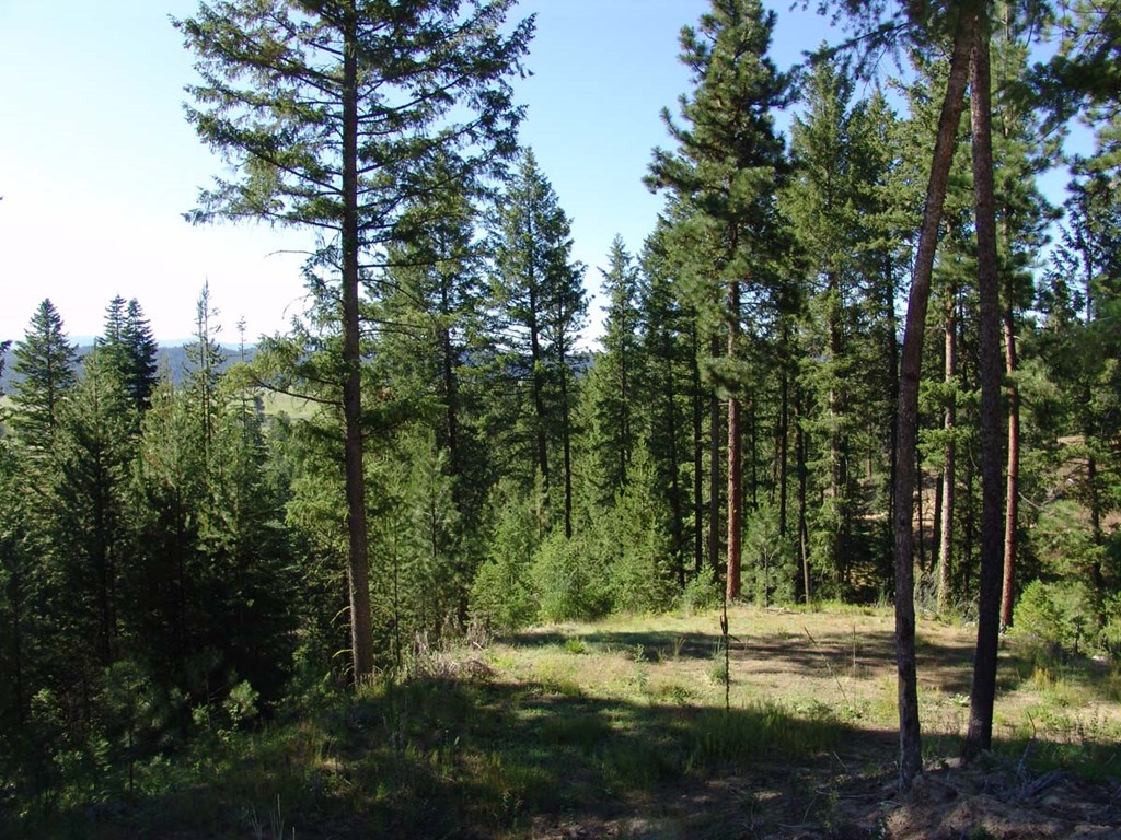 L1-b2 L1-b2 San Ignacio Way, Unit 1 Cascade, ID 83611 - Photo 5 of 13 Listen to Silence and Look at View