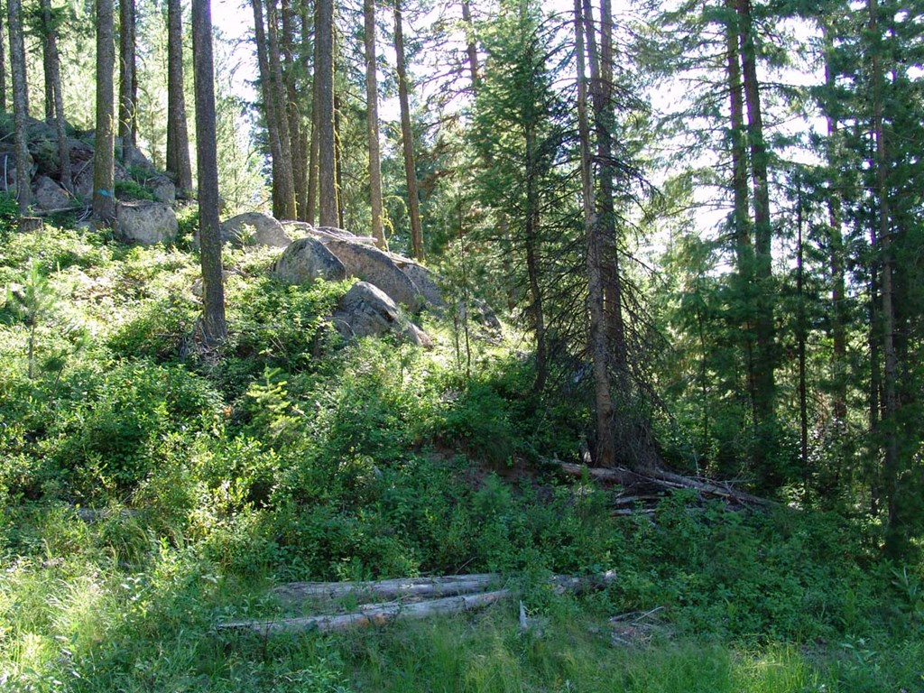 L1-b2 L1-b2 San Ignacio Way, Unit 1 Cascade, ID 83611 - Photo 6 of 13 Terrain Provides Privacy