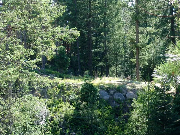 $109,000 | L1-b2 L1-b2 San Ignacio Way, Unit 1, Cascade, ID 83611