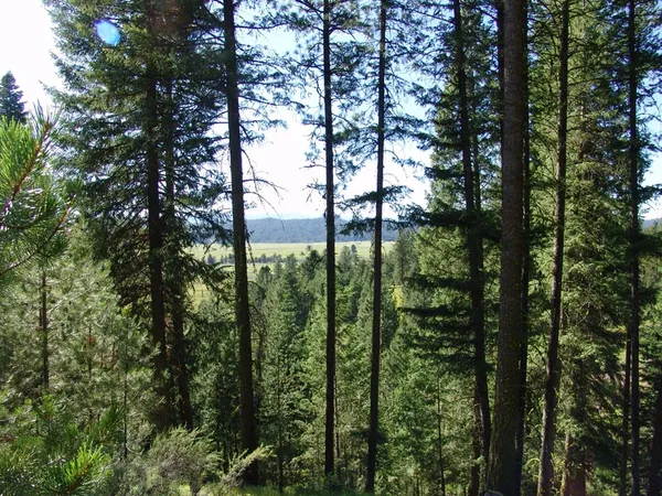 $109,000 | L1-b2 L1-b2 San Ignacio Way, Unit 1, Cascade, ID 83611