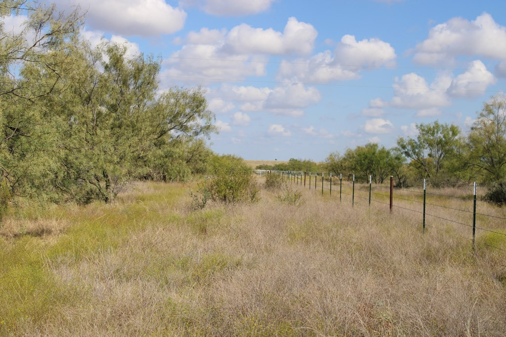 0 County Road Talpa, TX 76882 - Photo 19 of 22 Photo 19