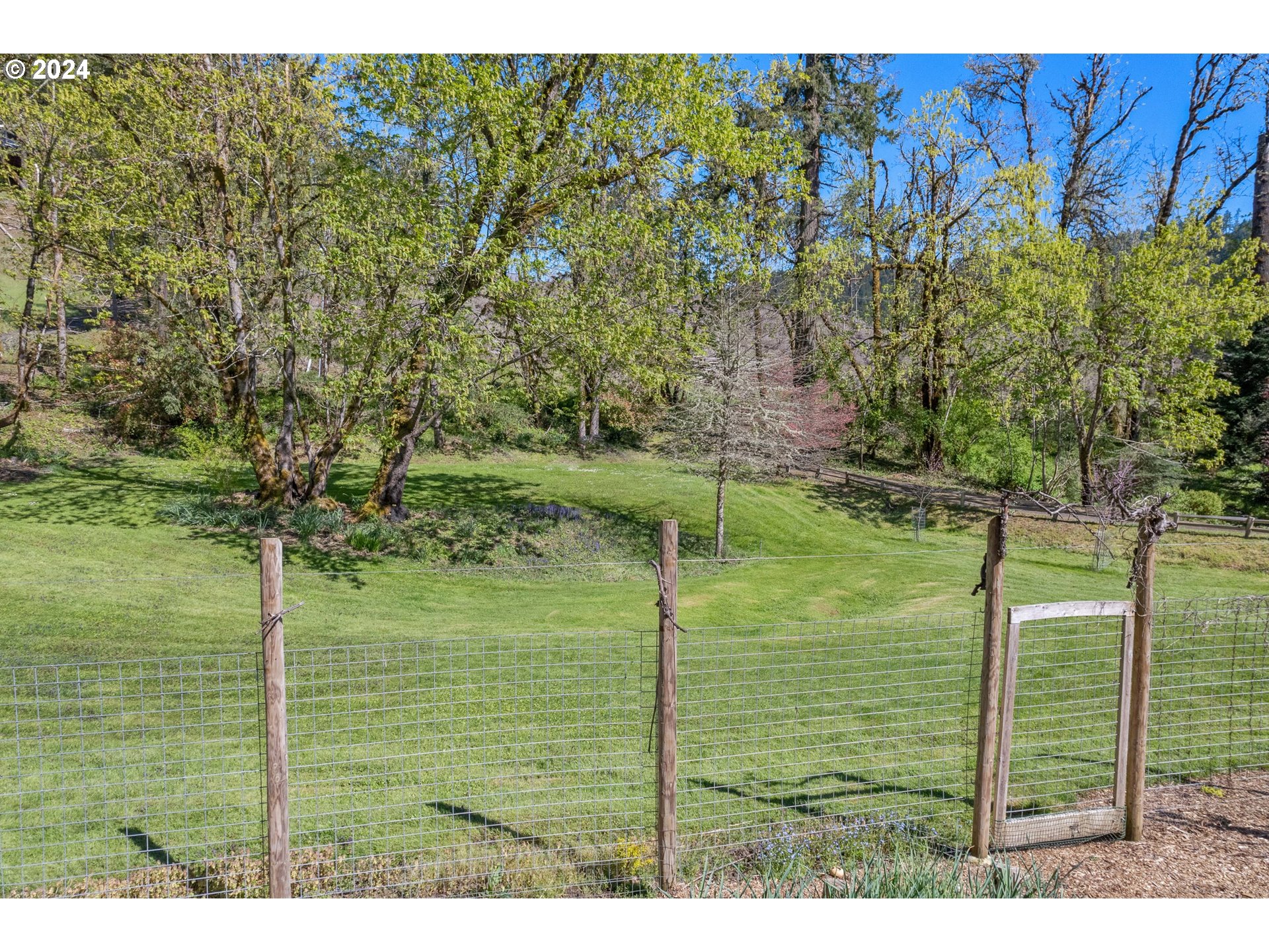 90482 Sunderman Road Springfield, OR 97478 - Photo 37 of 40 a view of an outdoor space and a yard
