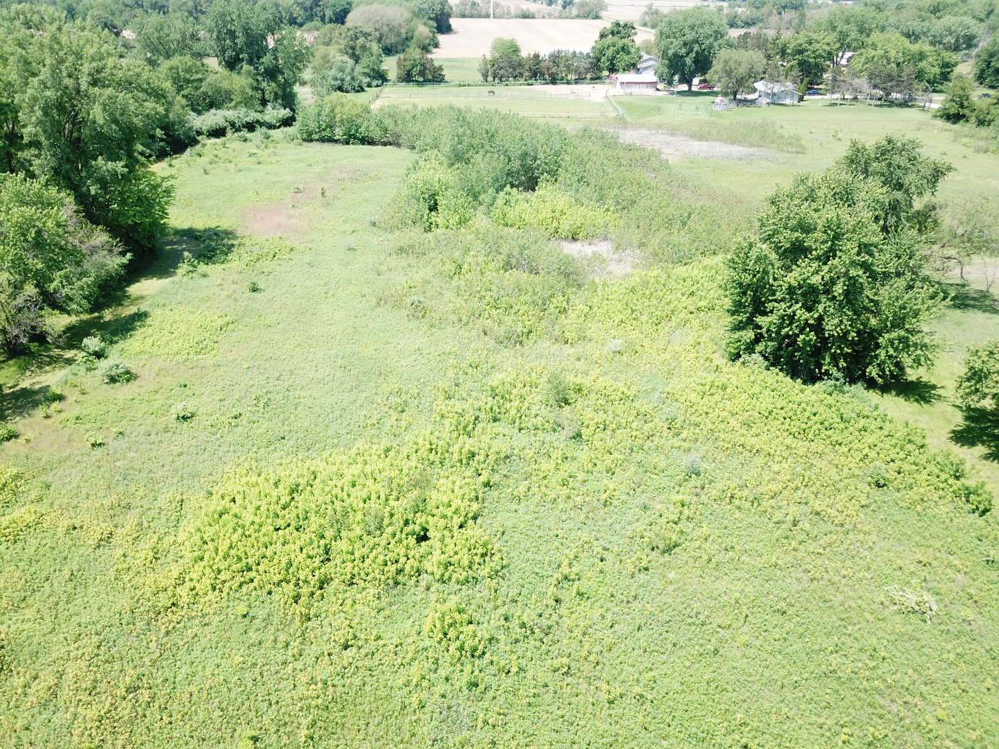 4802 North 12000 W Road Bonfield, IL 60913 - Photo 2 of 8 a view of a yard with plants and large trees