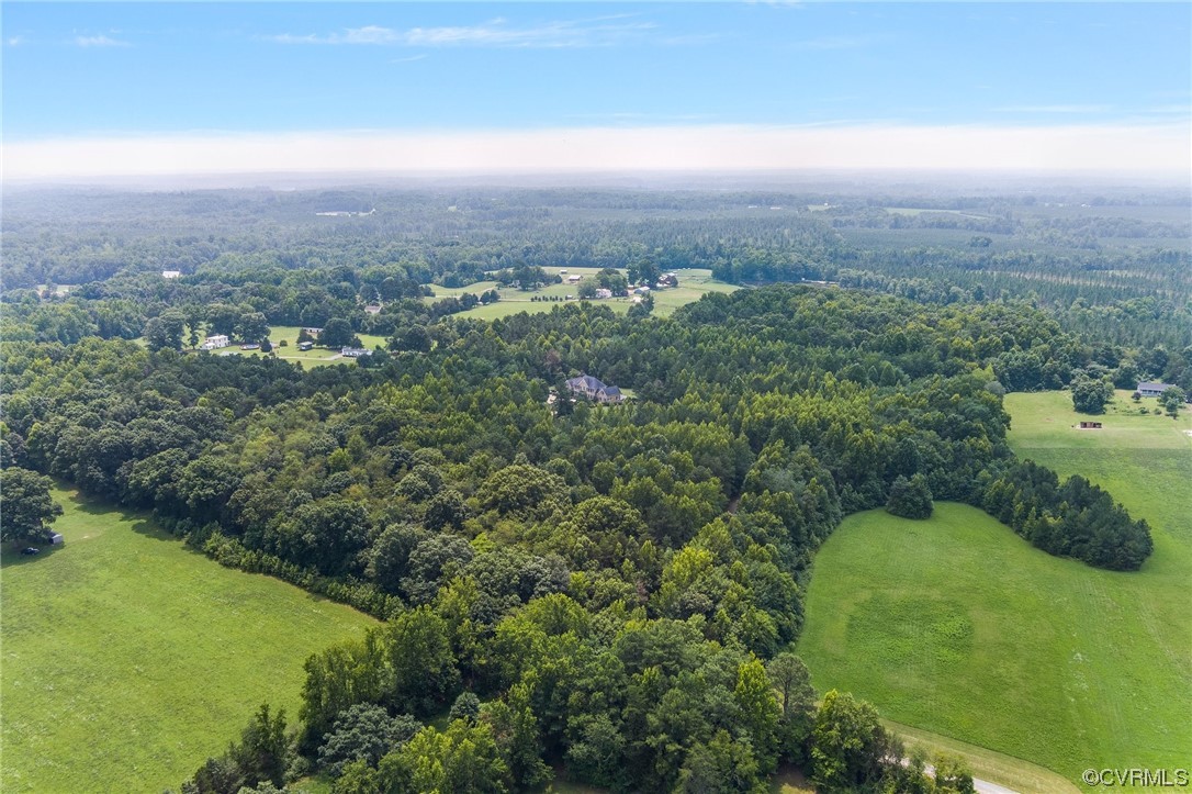 20065 Beaver Dam Road Beaverdam, VA 23015 - Photo 39 of 41 a view of a green yard with large trees