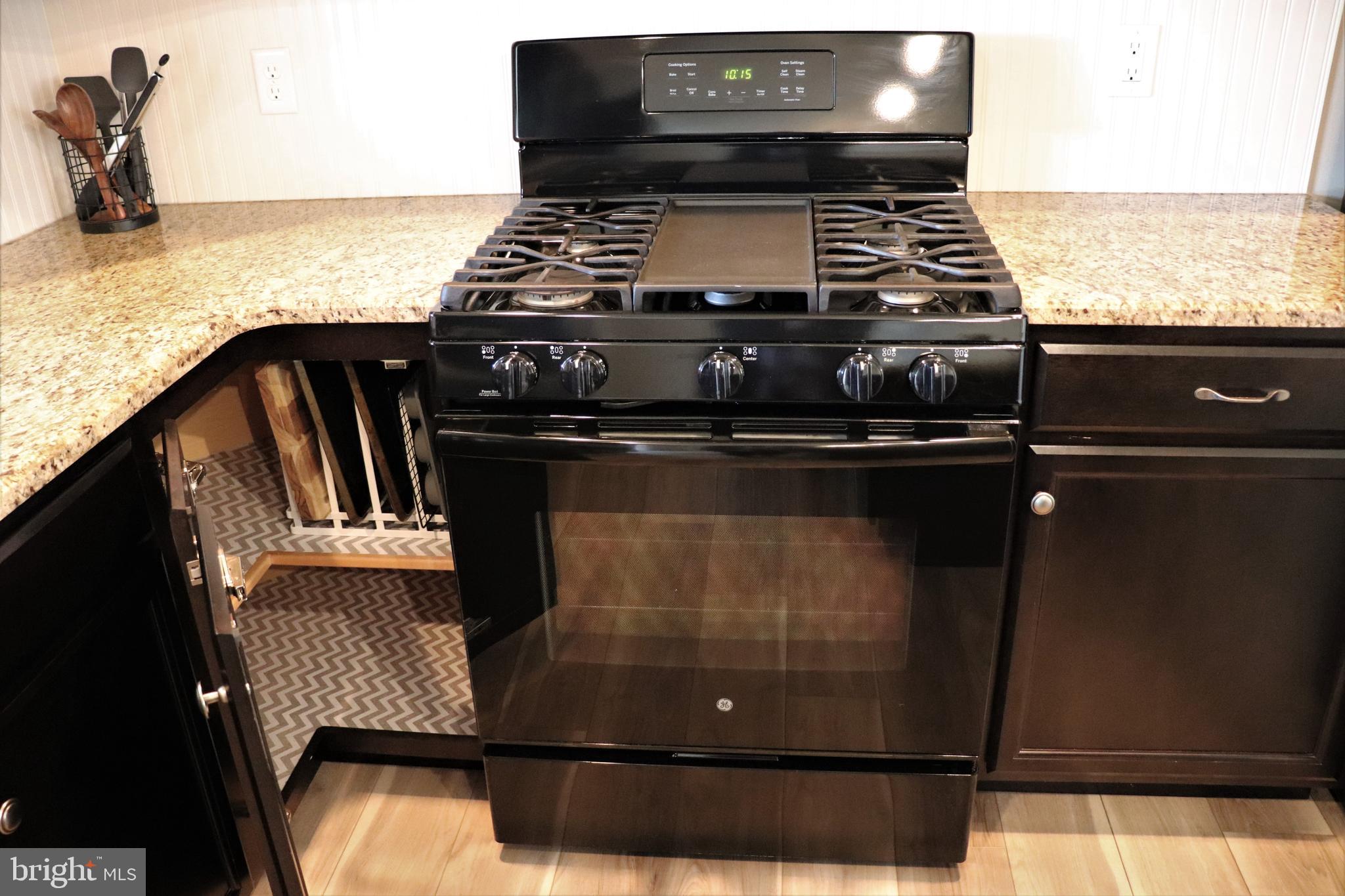 27 Red Sunset Run Ephrata, PA 17522 - Photo 13 of 49 Kitchen Details - Gas Range