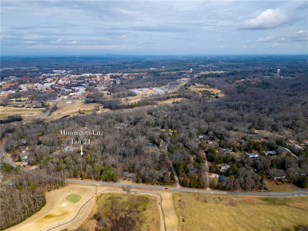 Lot 21 Hunnicutt Lane Clemson, SC 29631 - Photo 19 of 30