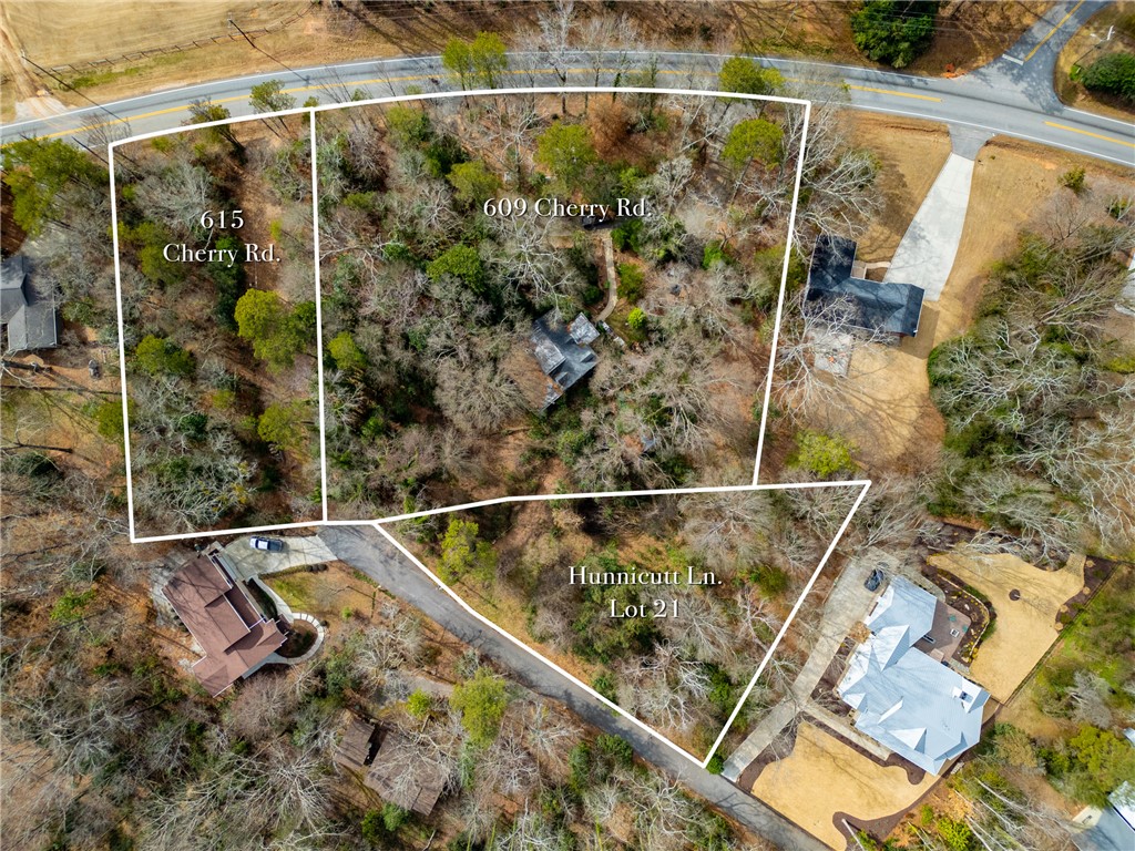 Lot 21 Hunnicutt Lane Clemson, SC 29631 - Photo 29 of 30