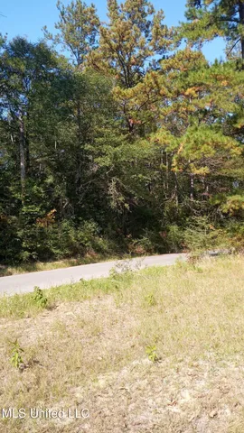 $39,900 | Nsn Mount Rose Circle, McLain, MS 39456